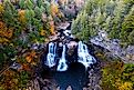 An aerial view of Blackwater Falls in a forest, Davis, West Virginia.