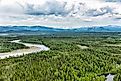 Taiga ecosystems in northern Europe.
