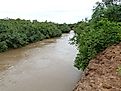 Faleme River with trees on either side of the banks. Image credit https://commons.wikimedia.org/wiki/File:Forested_island_in_the_Faleme_River.jpg