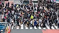 Shibuya crossing with many pedestrians and vehicles crossing the junction in Tokyo, Japan. Editorial credit: Cat Box / Shutterstock.com