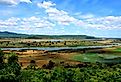 The River Benue as it passes through Adamawa State in N.E. Nigeria near Jimeta-Yola and close to the Cameroon border. Image credit Adamawa via Shutterstock.