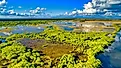 Everglades National Park