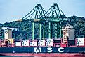 Container terminal with gantry cranes and berthed MSC merchant ship during cargo operation in port of Balboa, Panama. Image credit Mariusz Bugno via Shutterstock