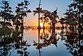 Blue Cypress Lake, Florida