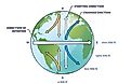 Coriolis effect as physical inertial or fictitious force outline diagram. 