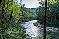 Chattooga River