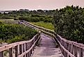 Back Bay National Wildlife Refuge boardwalk.