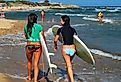Two surfers on Ditch Plains beach go surfing in the Hamptons in Montauk, New York. Image credit James Kirkikis via Shutterstock