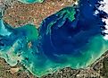 Algae Bloom in Lake Erie.