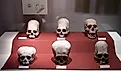 A set of Paracas culture skulls that show a range of different types of cranial modification. By Robrrb at English Wikipedia, CC BY-SA 3.0 (https://creativecommons.org/licenses/by-sa/3.0), Wikimedia Commons.