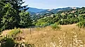Roadside vista of rolling hills and forest lands of Humboldt County, California. 