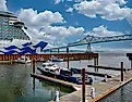 The Princess Cruises Royal-class vessel, measuring 1,083 feet in length, is one of the largest ships to navigate the Columbia River bar