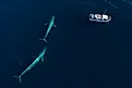 Pacific Ocean