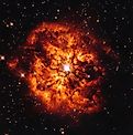 Star
