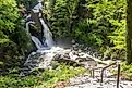 Bash Bish Falls is located in the woods in Bash Bish State Park in Mount Washington, Massachusetts