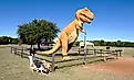 Dinosaur Valley State Park in Glen Rose, Texas. Image credit: W. Scott McGill / Shutterstock.com.