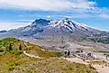 Mount St Helens National Park, Washington.