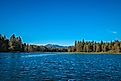 View of mountains and pine trees from Lake Cascade in Donnelly, Idaho.