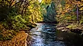 Early autumn color along the Gunpowder River in Gunpowder Falls State Park, Maryland.