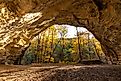 The Starved Rock State Park in Oglesby, Illinois.