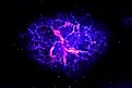 Neutron star, pulsar with elements furnished NASA. Image Credits: Artsiom P via Shutterstock