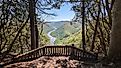 Scenic view of the New River Gorge from the Grandview Rim Trail.