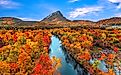 A photo of a New England fall foliage.