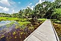 Braodwalk across wetlands in The William S Boylston Nature Trail in Myakka River State Park in Sarasota Florida in the United States