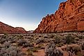 Golden hour at Snow Canyon State Park. 