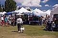 Crowds gather at the Raspberry Days Arts & Crafts Fair in Garden City, one of Utah’s summer fair traditions.