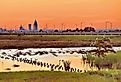 Sun setting over Mobile, Alabama skyline with busy Interstate traffic contrasted with the serenity of herons and egrets settling in for the evening on the Bay. Image credit Angie Carn via Shutterstock.