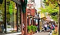 Downtown Saugatuck, Michigan. Image credit Kenneth Sponsler via Shutterstock