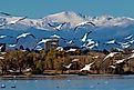 Autumn migration of American white pelicans at Cherry Creek State Park in suburban Denver, Colorado.