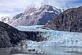 Glacier in Glacier Bay National Park. 