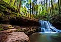 Spring time hiking along Kiner Creek in Laurel Run Park in Church Hill, Tennessee.