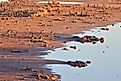 The red bluffs of the western edge of the Caprock, the Pecos River and Bitter Lakes National Wildlife Refuge at sunrise