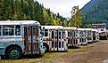 A collection of old trolley city buses in the ghost town of Sandon, British Columbia, Canada. Editorial credit: Nalidsa / Shutterstock.com