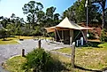 Campground and wildlife at St Andrews State Park Florida. 