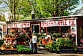 Two adult women shop for spring plants at a roadside farm stand in Delaware Water Gap, Pennsylvania. Editorial credit: James Kirkikis / Shutterstock.com.