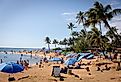 Poipu Beach on the South Shore of Kauai, Hawaii, full of tourists on a sunny day, with tall palms in Koloa, Hawaii. Image credit bluestork via Shutterstock.