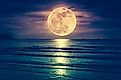 moon and sea