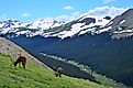 Rocky Mountain National Park