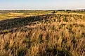 Wetlands at Valentine National Wildlife Refuge in cherry County, Nebraska, USA