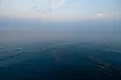 Calm seas in the Gulf of Mexico offshore from the Louisiana coast.