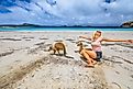 A joyful Caucasian woman with open arms stands near two kangaroos at Lucky Bay in Cape Le Grand National Park, Esperance, Western Australia.