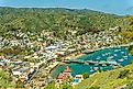 Aerial view of Avalon, California. Image credit: Darryl Brooks / Shutterstock.com.