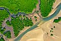Aerial view of the deltaic region of the Amazon River.
