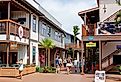 Koloa Village shops, Hawaii. Image credit bluestork via Shutterstock
