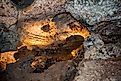 Boxwork formations in Wind Cave National Park.