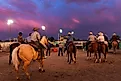 Rodeo in Fallon, Nevada.